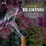 Incense Cones & Accessories